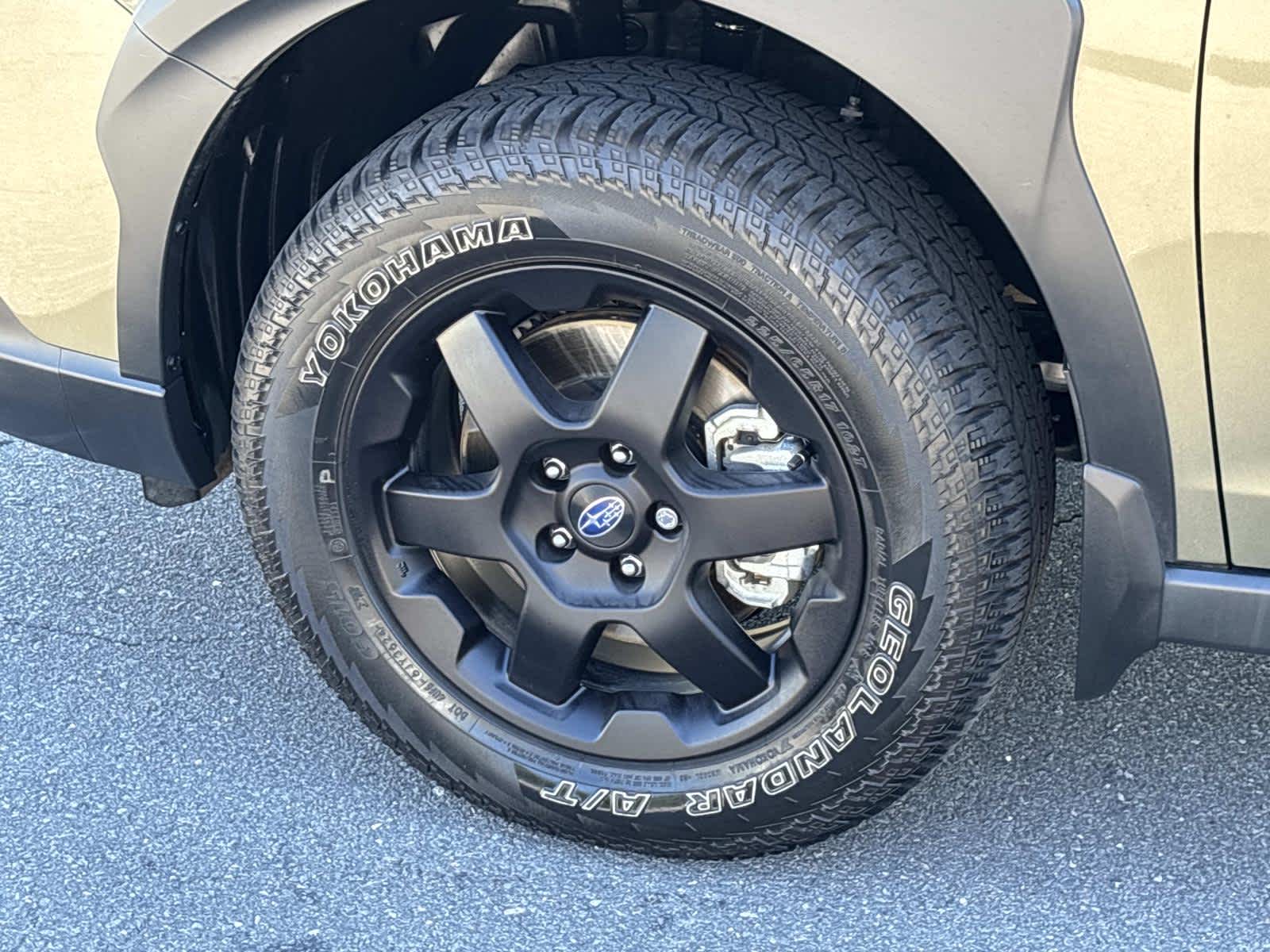2025 Subaru Outback Wilderness
