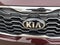 2020 Kia Sorento EX V6